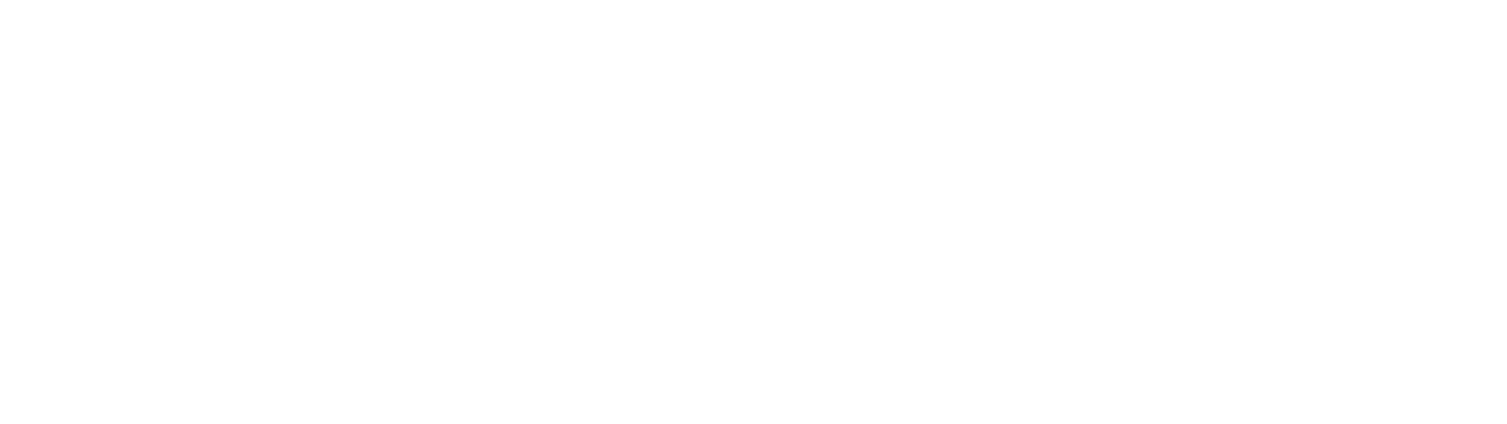 The Archive SF